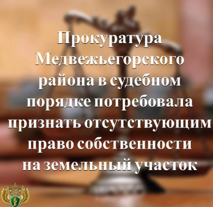 Житель Медвежьегорска лишился части земельного участка по решению суда
