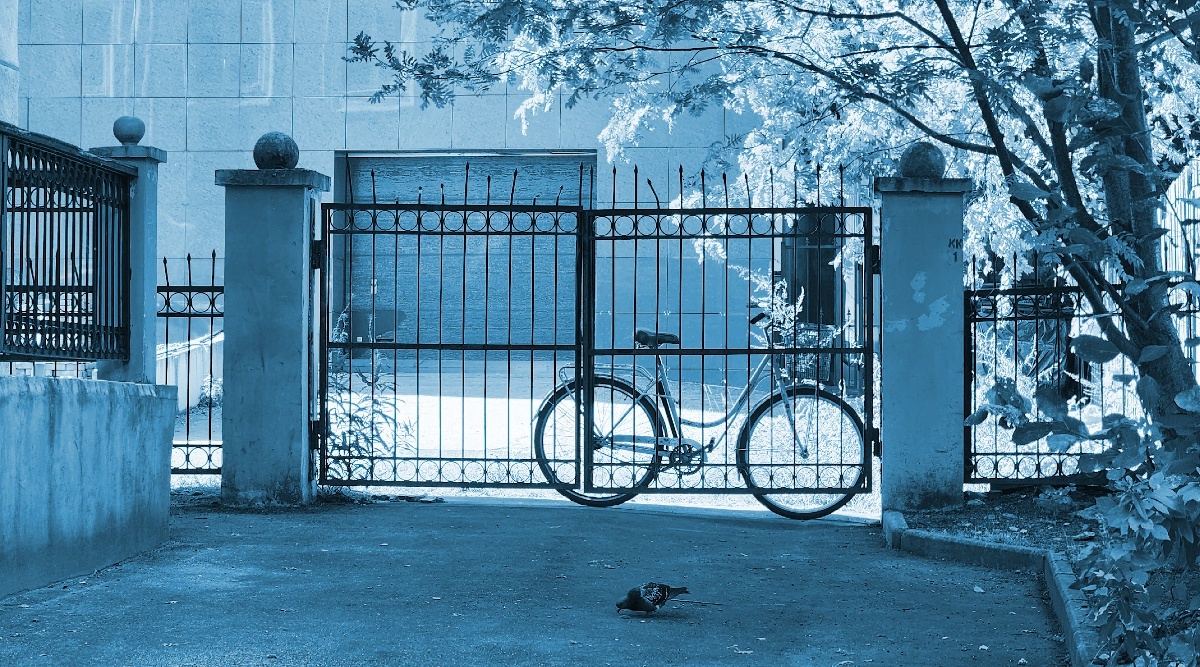 План «Велосипед в обмен на выпивку» оказался провальным