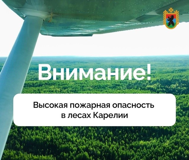 Артур Парфенчиков поручил усилить мониторинг лесов с помощью БПЛА