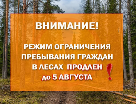 В Карелии продлили ограничения на посещение лесов