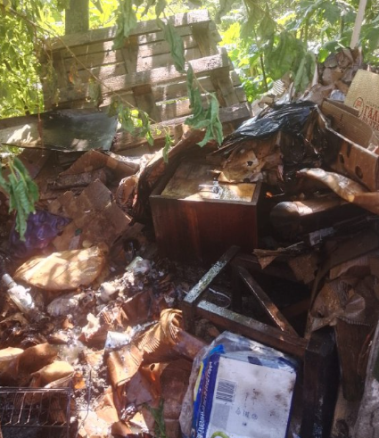 В Пиндушах за 7 минут потушили горящую свалку