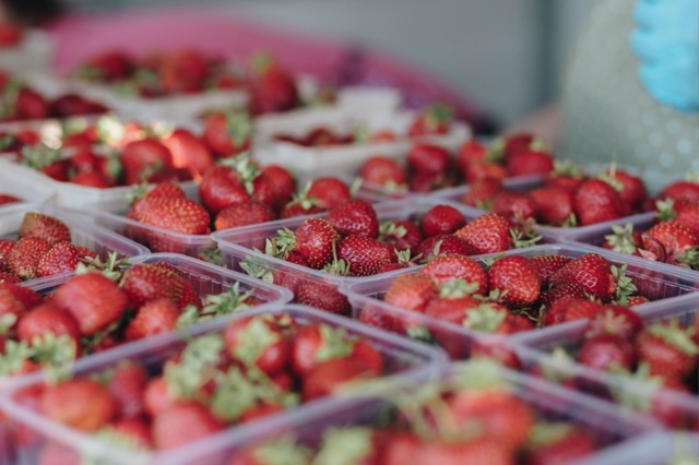 Мастер-классы и концерты ждут гостей «Земляничного лукошка»