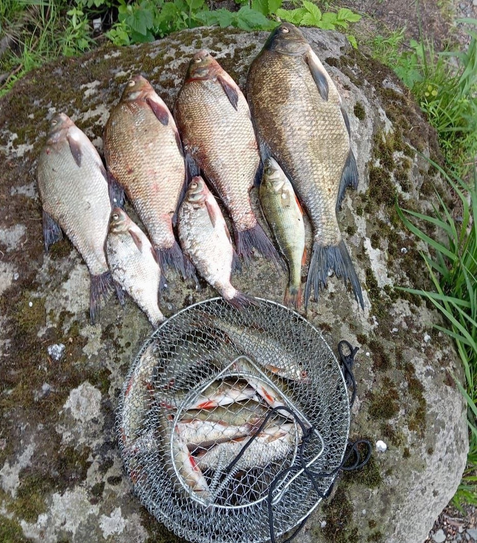 Глава Карелии пожелал всем хорошего клева