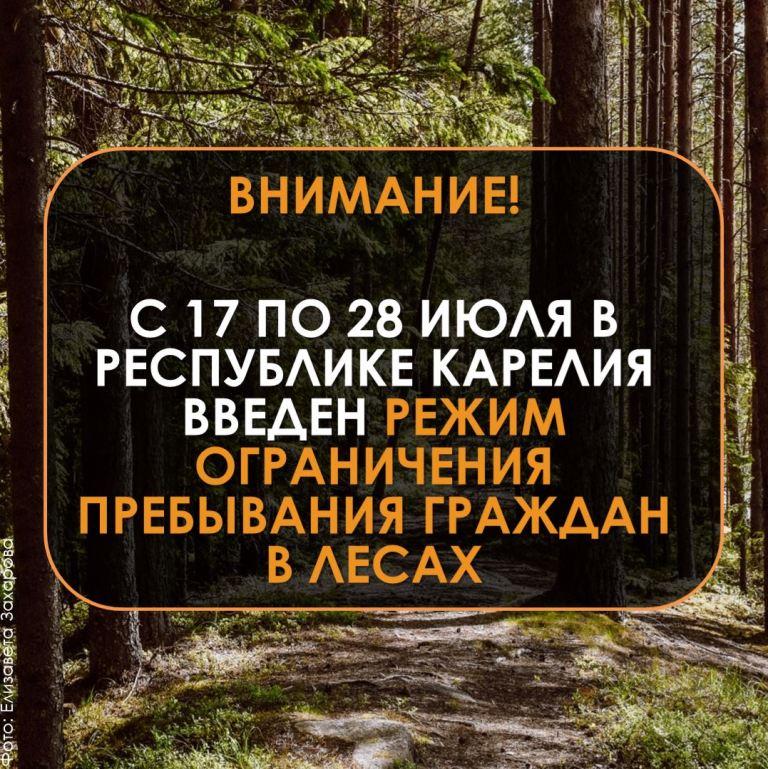 Разведение костра в лесу будет стоить 40 тысяч рублей