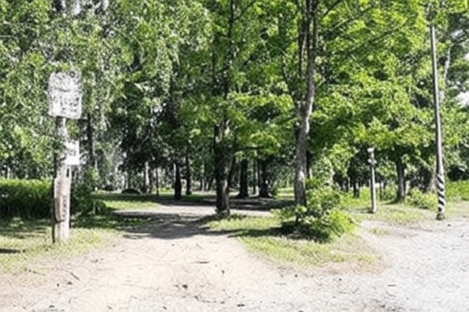 Жителям Пудожа советуют временно не гулять в летнем саду Жителям Пудожа советуют временно не гулять в летнем саду