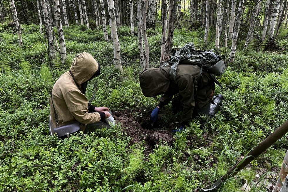 Геологи начали поиски золота у границ Карелии