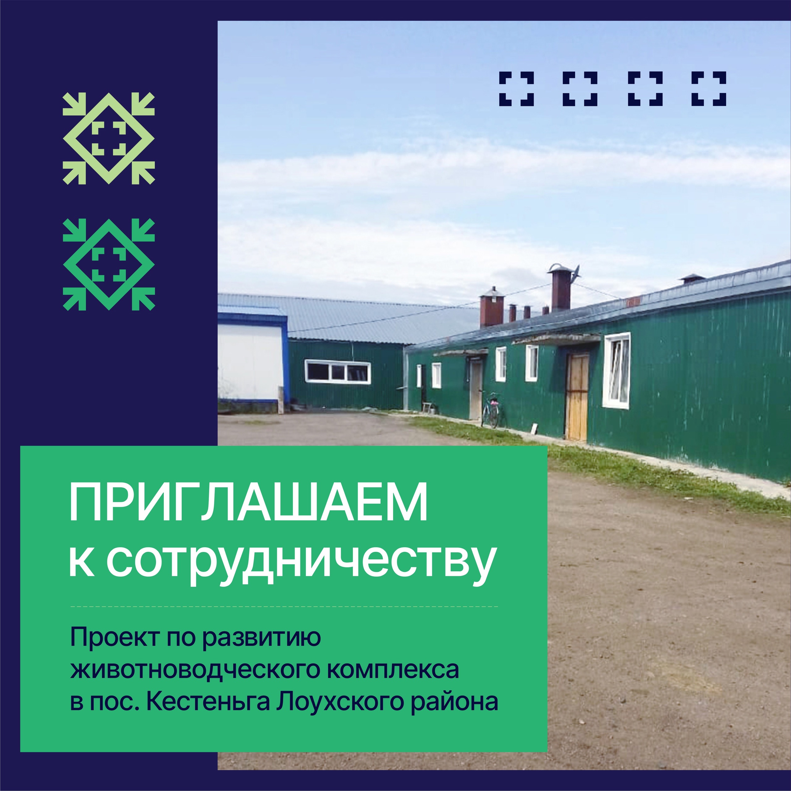 В Карелии ищут инвестора для молочной фермы в поселке Кестеньга
