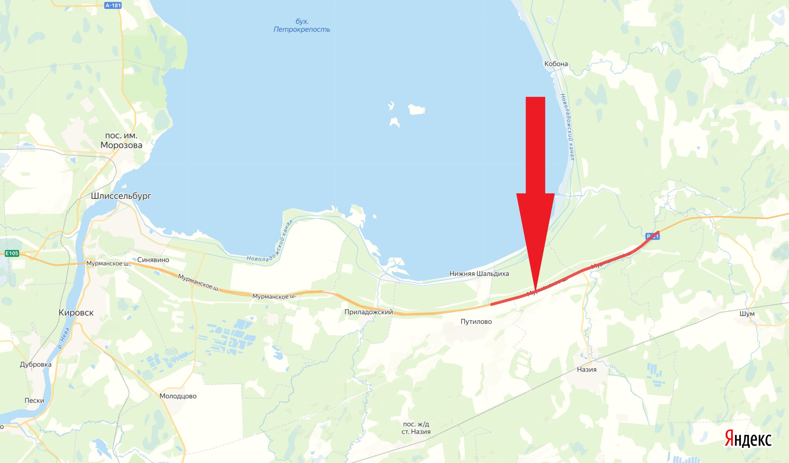 На трассе «Кола» в Ленинградской области до 15 сентября будет введено реверсивное движение