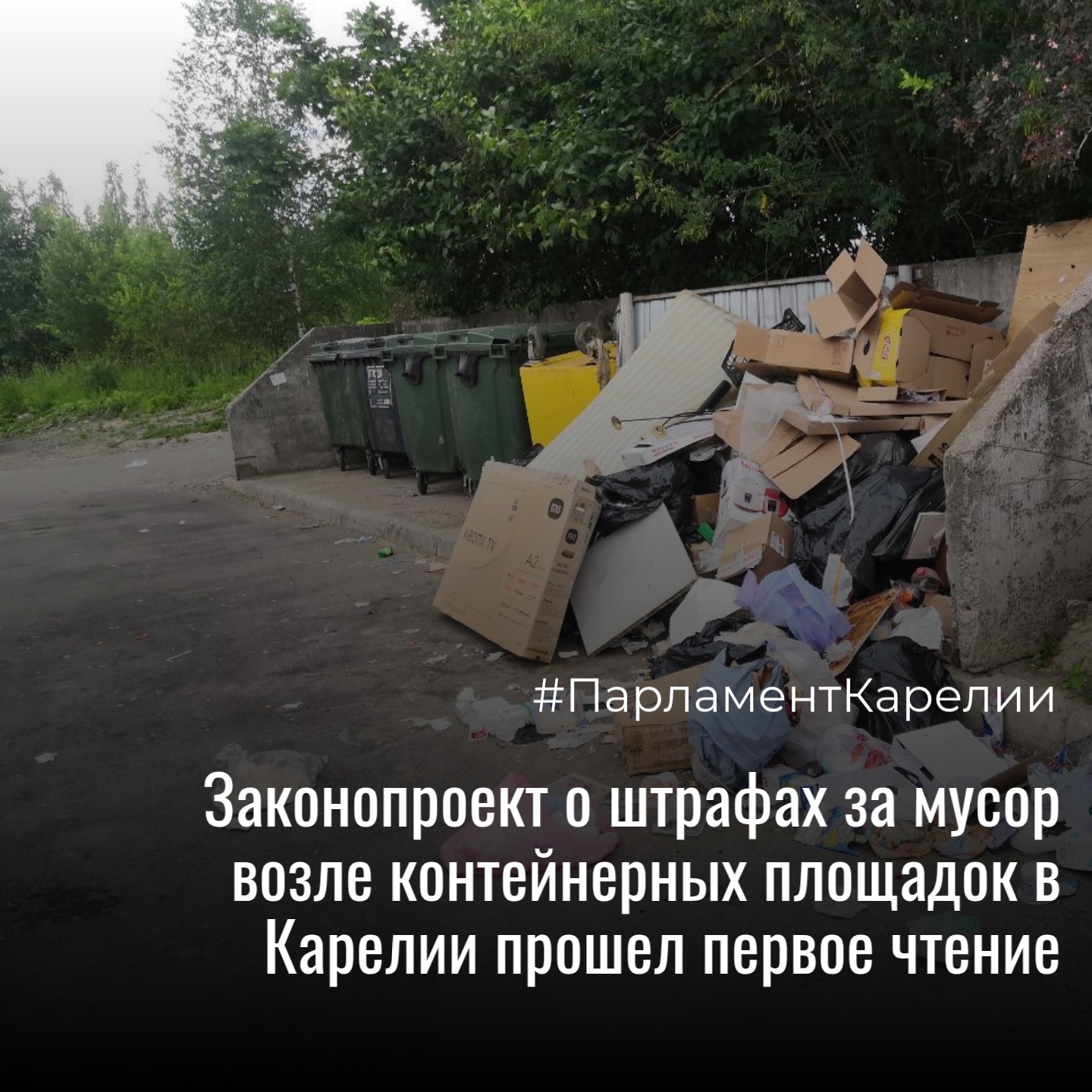 Карелия ужесточает правила содержания контейнерных площадок