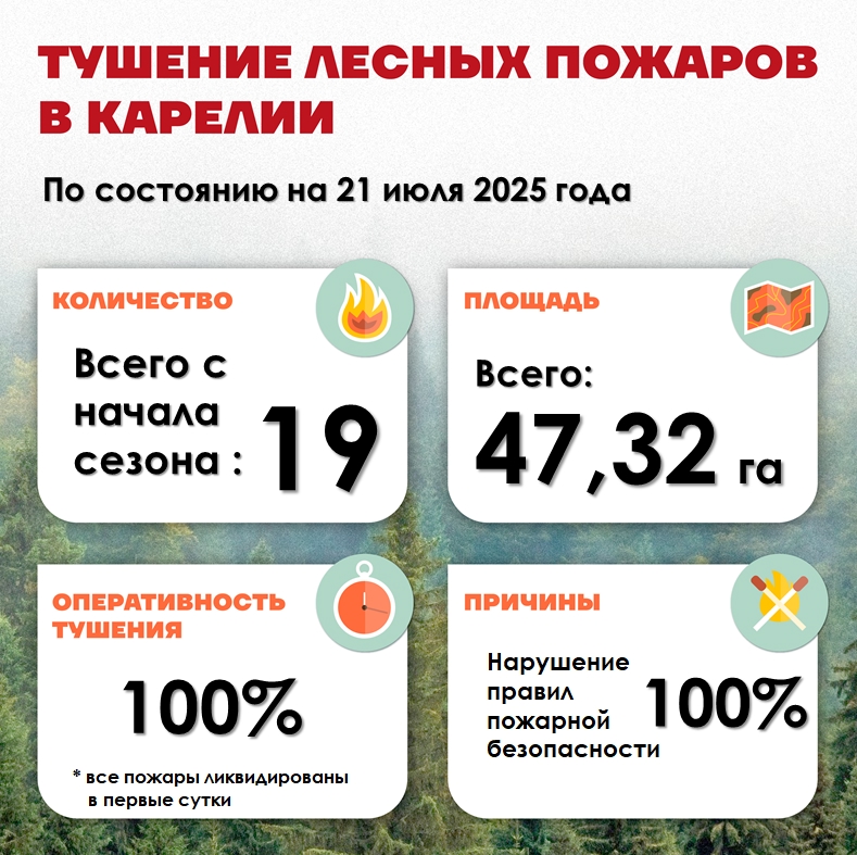 В Карелии зафиксировали 19 лесных пожаров, все по вине людей