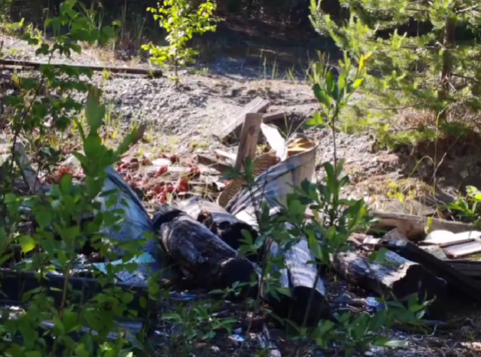 Живописный поселок в Карелии превратился в мусорный полигон