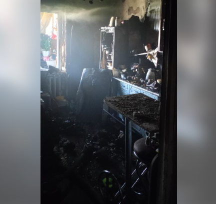 Пламя не пощадило питомцев: печальный итог пожара в Вилге