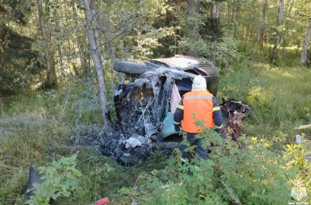 МЧС отработало два вызова за сутки