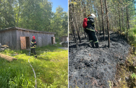 В Пряже произошел лесной пожар