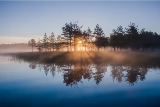 Два человека утонули на озере в Прионежском районе