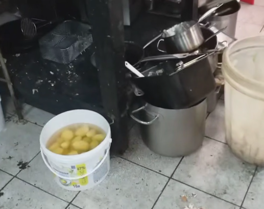 Сотрудники бывшей «Корсики» показали антисанитарию заведения изнутри