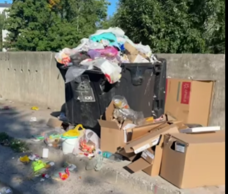 Свалка мусора выросла в густонаселенном районе Петрозаводска