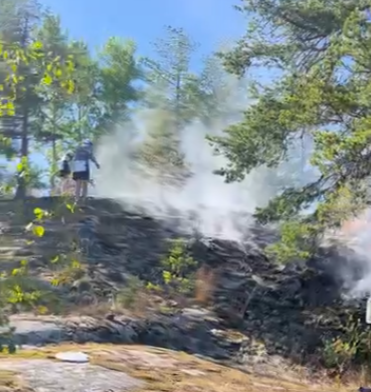 Туристы на катере устроили пожар в Лахденпохском районе