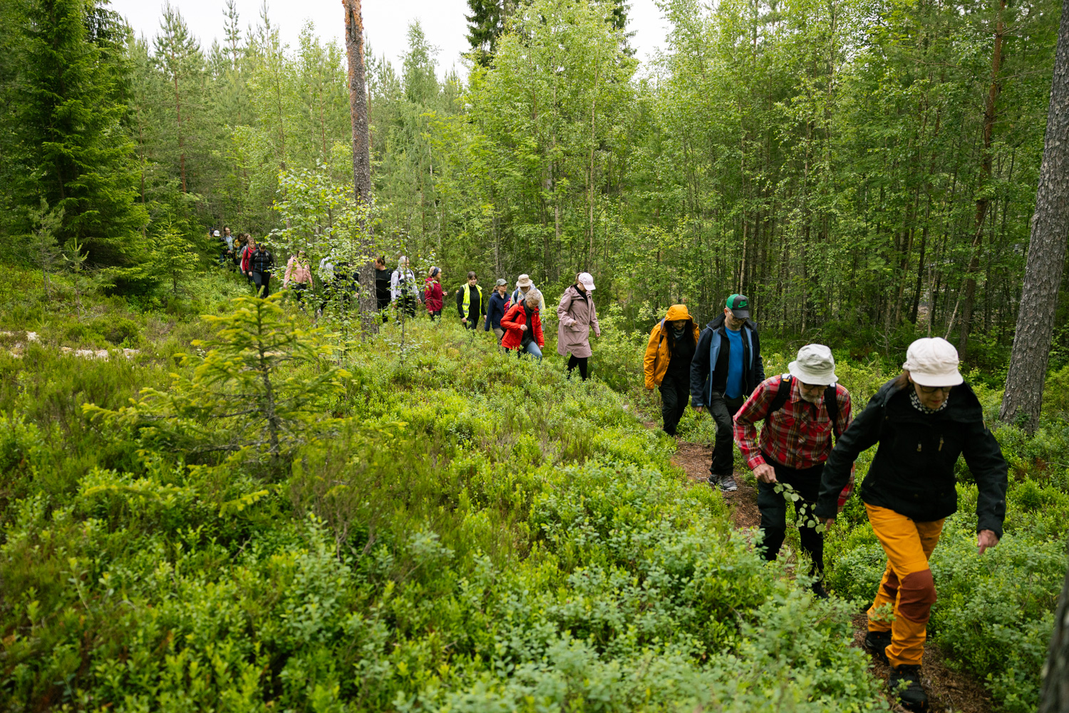 Ночной поход открыл фестиваль в финском городе