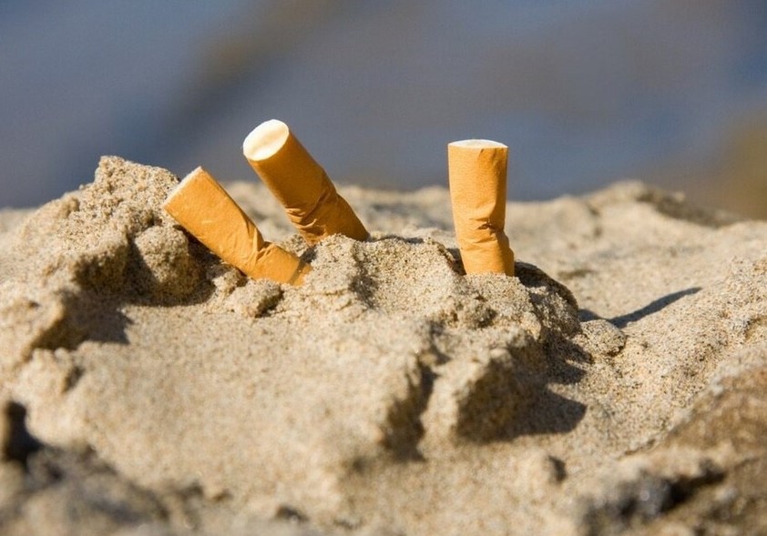 Пляжный беспредел: мангалы, квадроциклы и горы мусора на берегу Сямозера