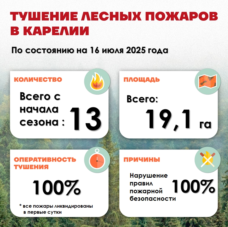 Пять лесных пожаров за сутки ликвидировали в Карелии