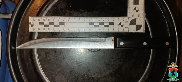 Появились подробности покушения на убийство и фото с места пьяной ссоры в Пудоже, где мужчина едва не убил двух женщин