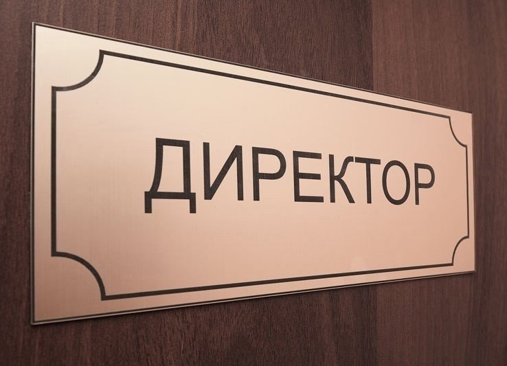 Директора ищут в Ломоносовскую гимназию в Петрозаводске