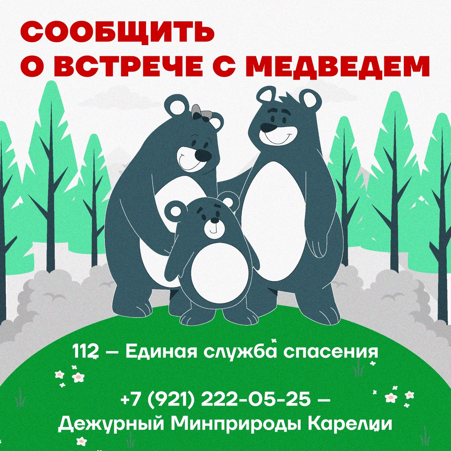 Медвежье семейство гуляет у домов на острове Риеккалансаари