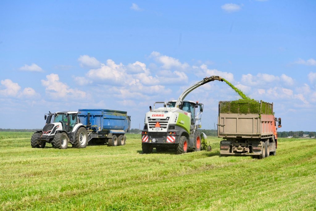 Еще одно предприятие Карелии вышло на международный рынок