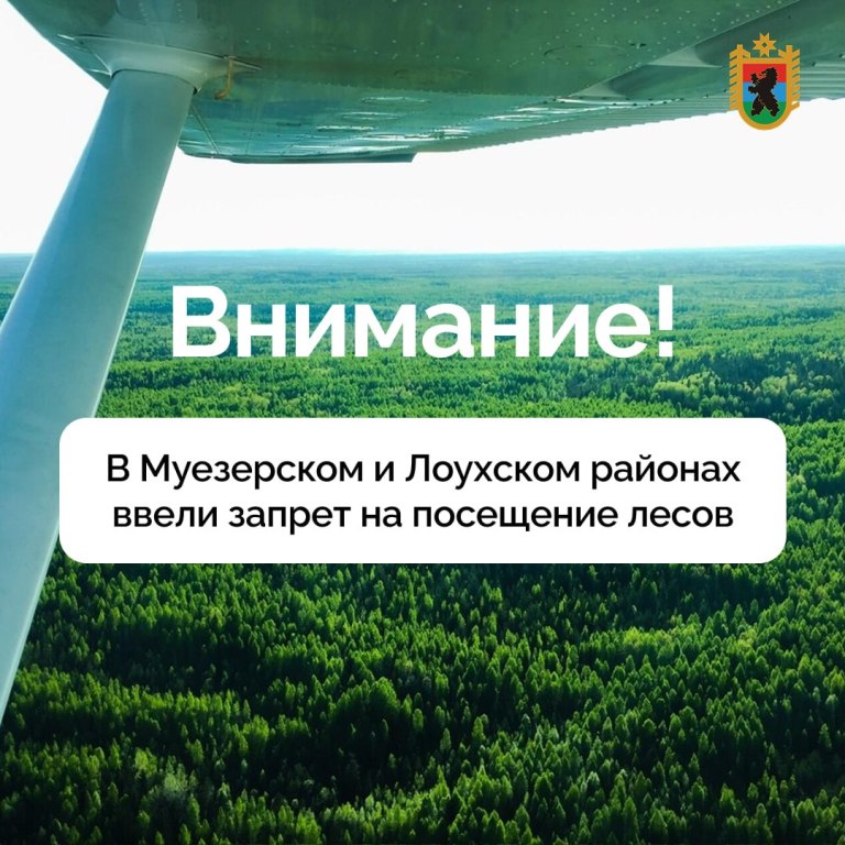 В Муезерском и Лоухском районах с 30 июля введен запрет на посещение лесов и въезд в них транспортных средств