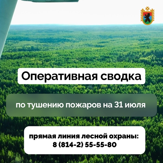 21 лесной пожар зафиксирован в Карелии на 31 июля