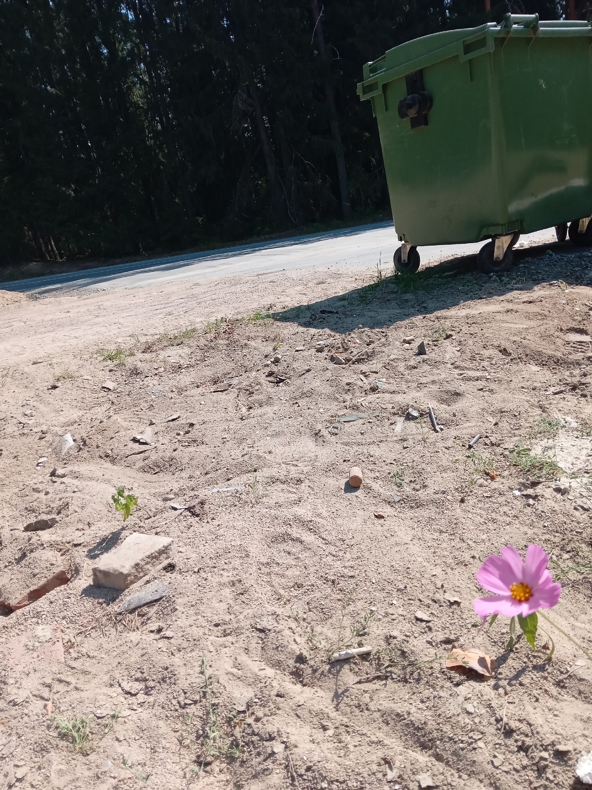 В карельском поселке убрали строительный мусор с контейнерной площадки