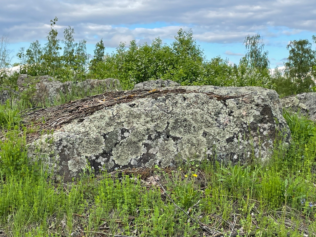 С началом июля финны «сдали мозги в гардероб»
