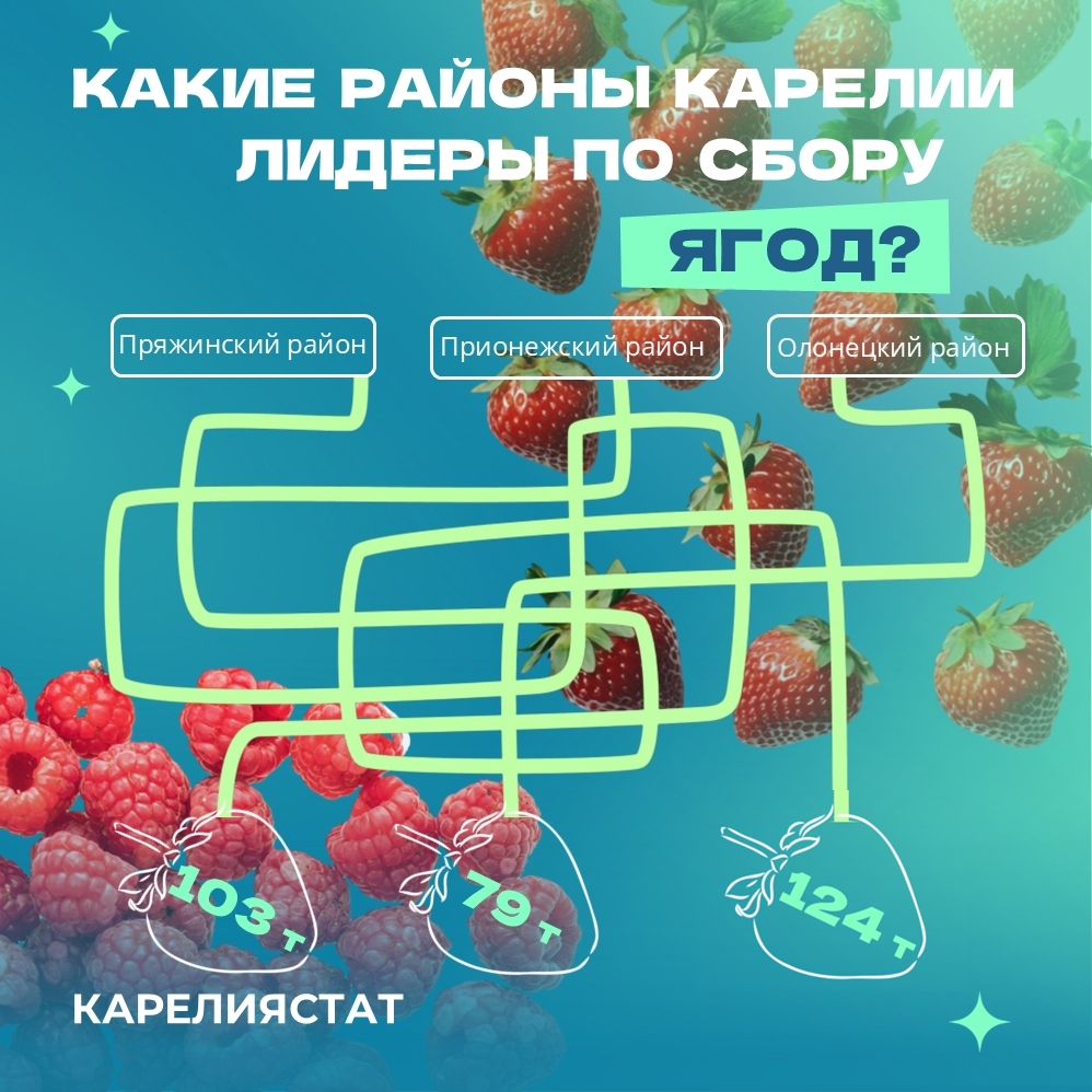Карелия увеличила сбор ягод на 21%