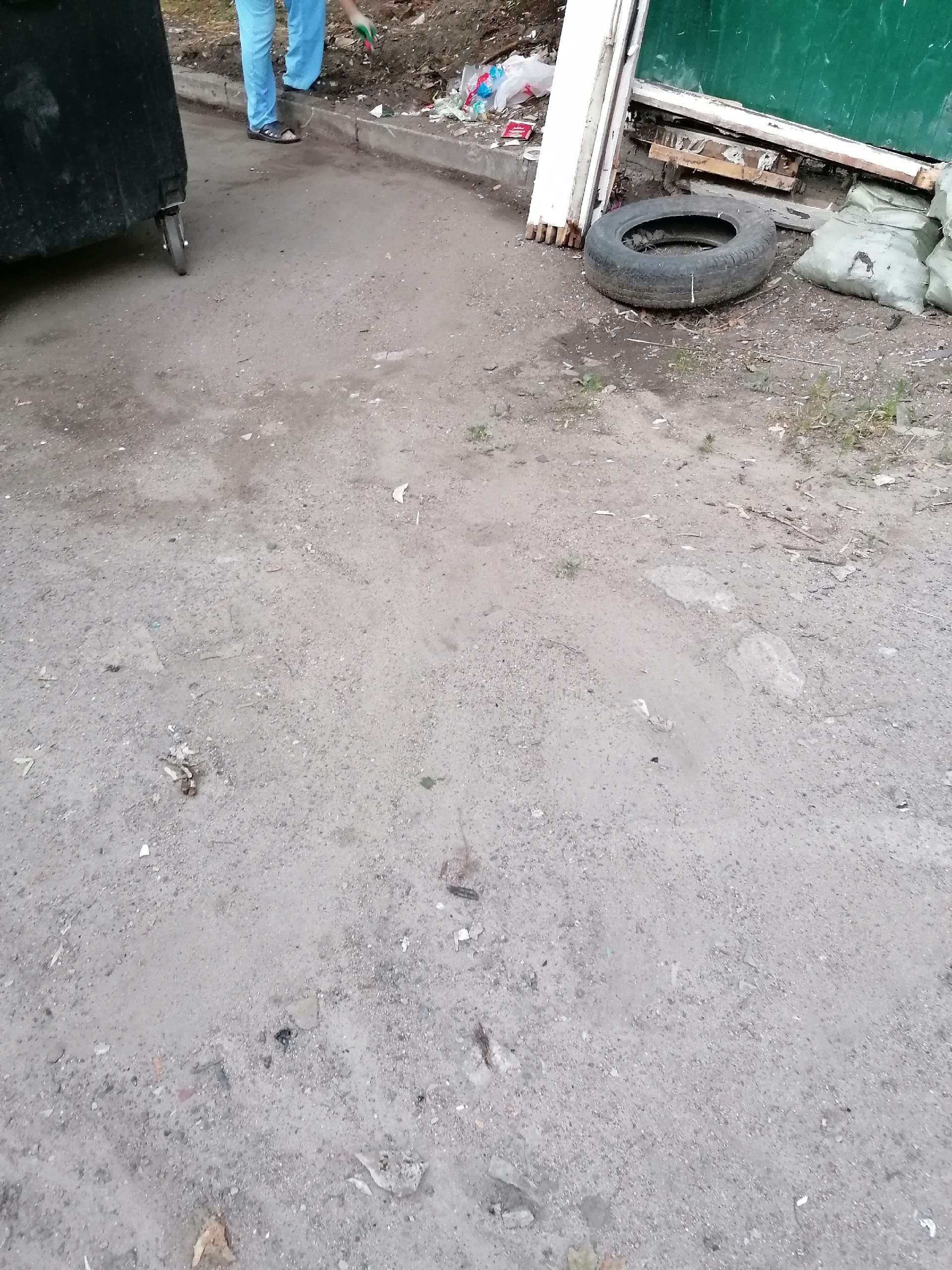 Петрозаводчанин убрал мусор возле контейнеров сам