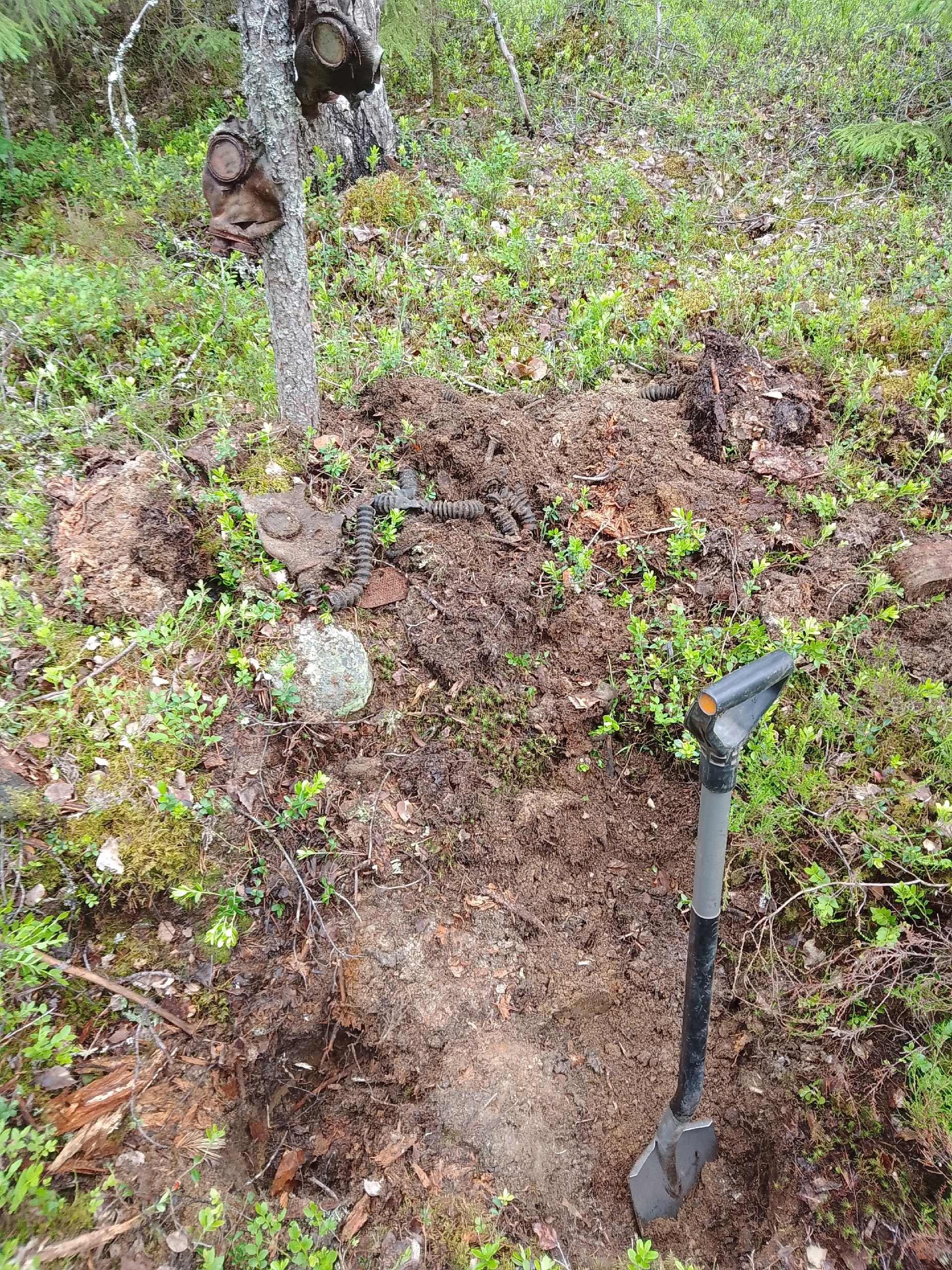 Останки четверых красноармейцев нашли на западе Карелии