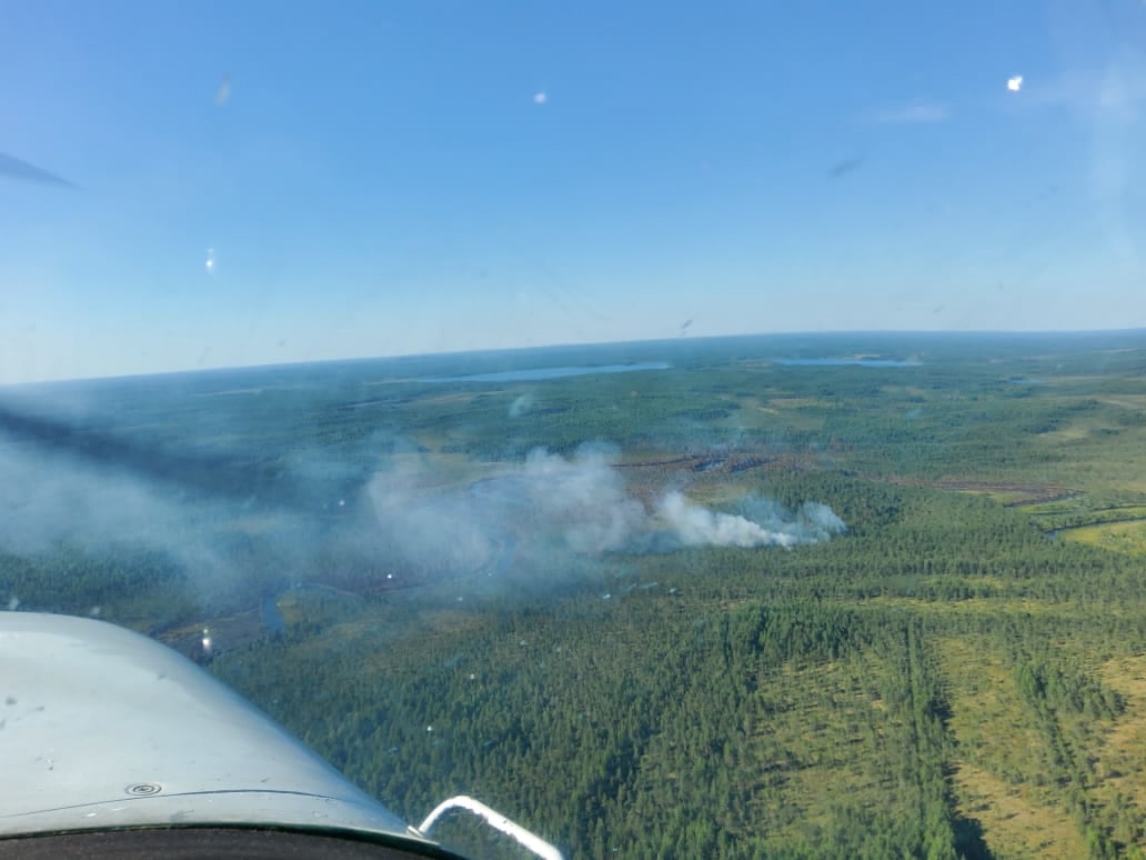 Пожар уничтожил лес на площади 57 гектаров в Кондопожском районе
