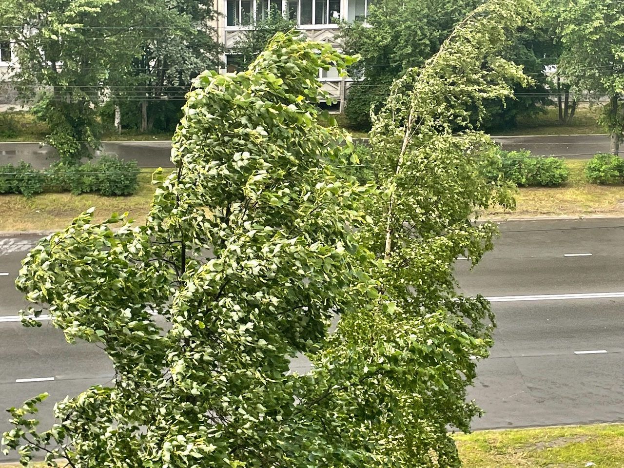 Разбушевавшаяся стихия с хлестким именем останется в Карелии на субботу