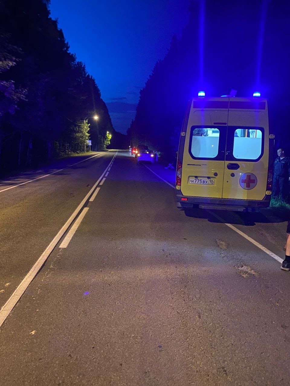 Мужчину сбили ночью рядом с поселком в Пряжинском районе