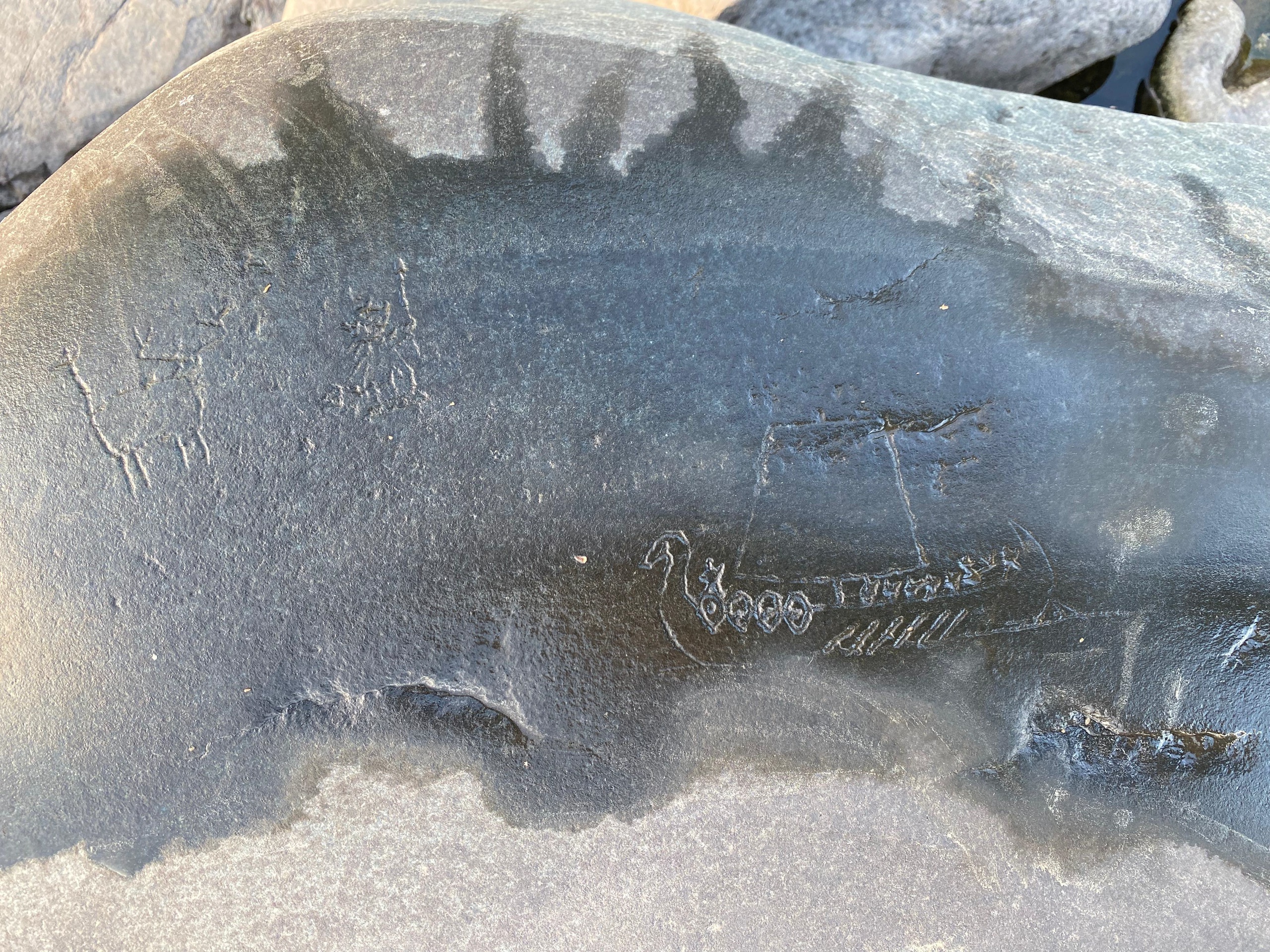 Житель Карелии обнаружил на острове необычные гравировки