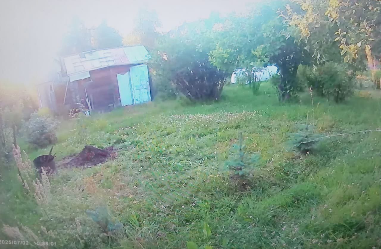 Дачник стал жечь траву на своем участке и устроил пожар