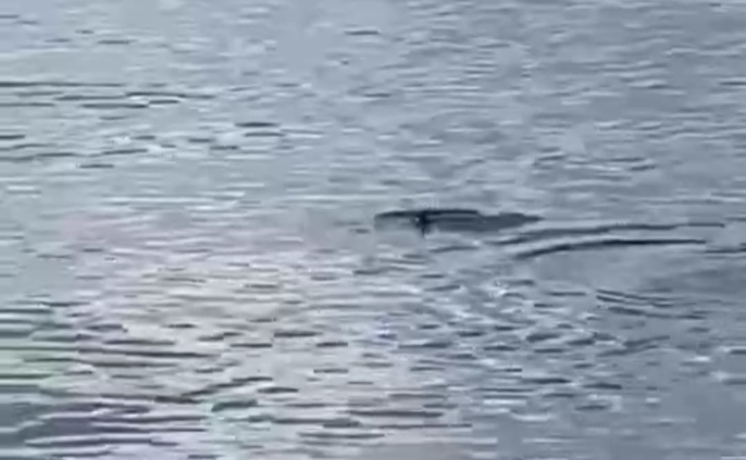 Молодые люди спасены на Онежском озере