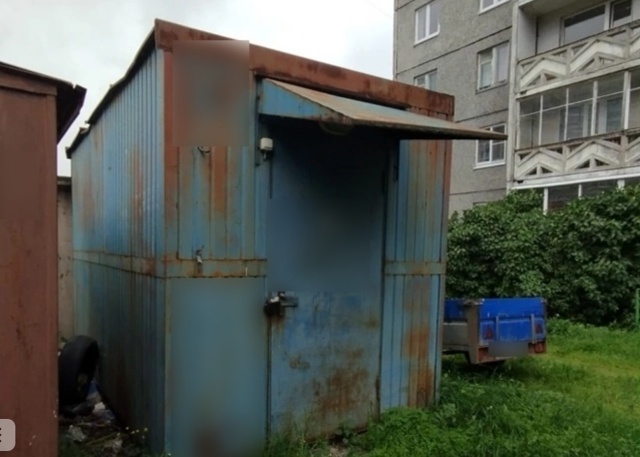Жителя Петрозаводска попросили убрать незаконный гараж