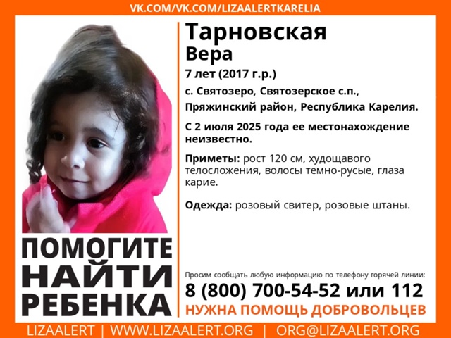 Семилетняя девочка бесследно пропала в Пряжинском районе