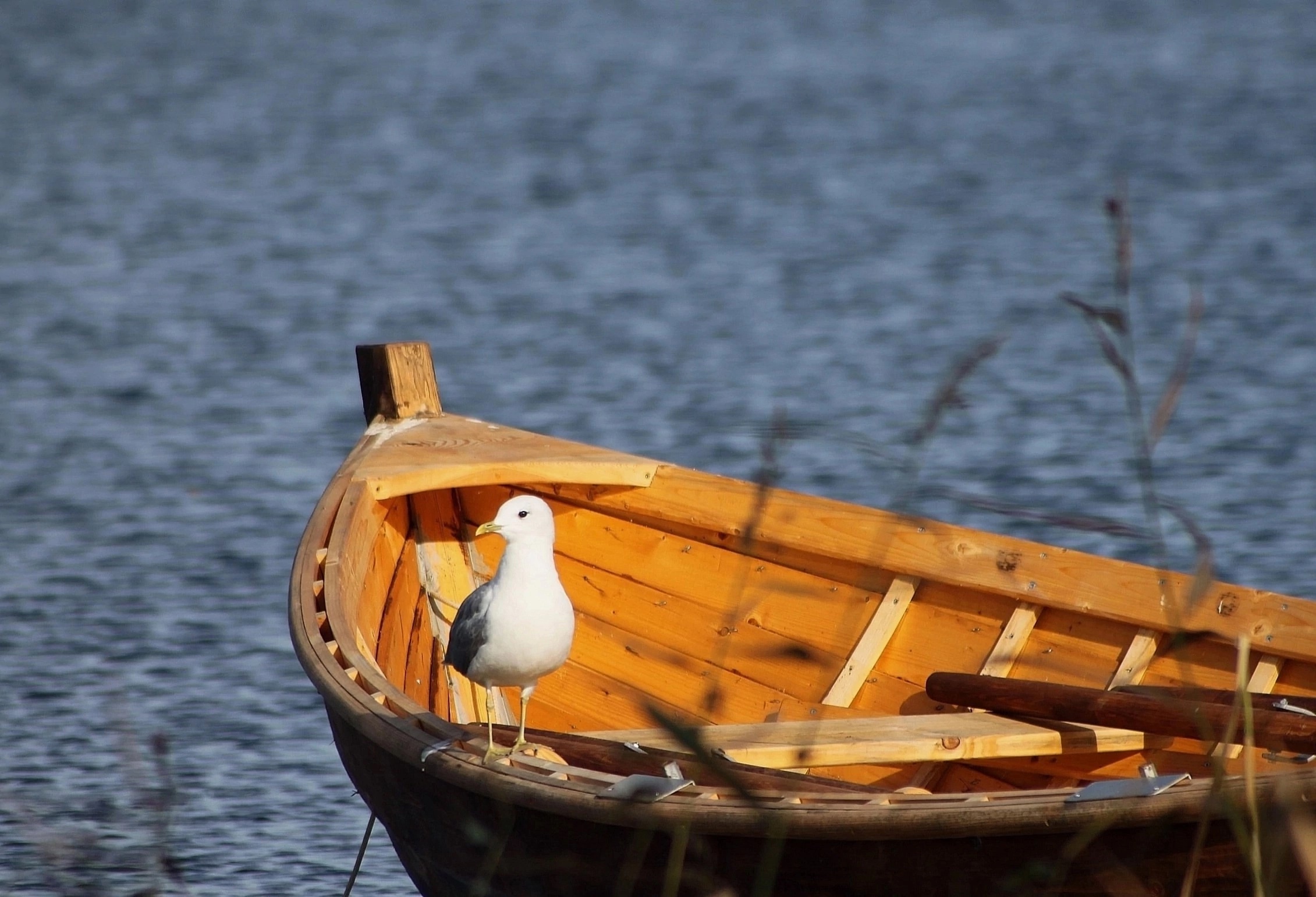 От театральных подмостков до острова Кижи: в сети рассказали про творческий путь карельского фотографа