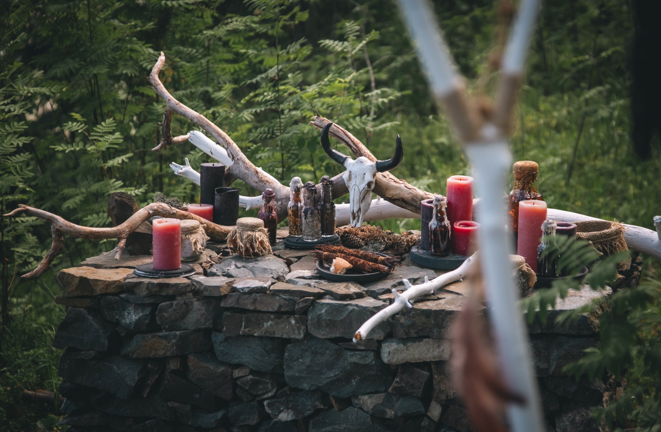 Под Петрозаводском появился новый этнопарк