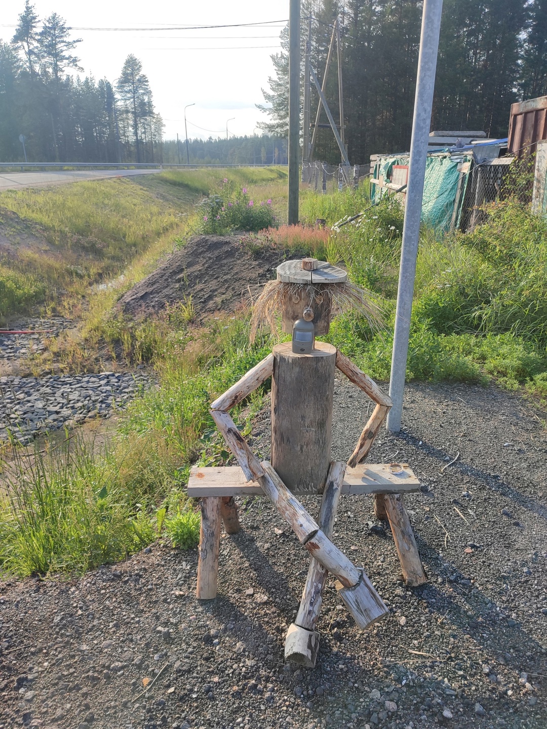 Где такое чудо сидит: жителям поселка в Муезерском районе предложили отгадать загадку