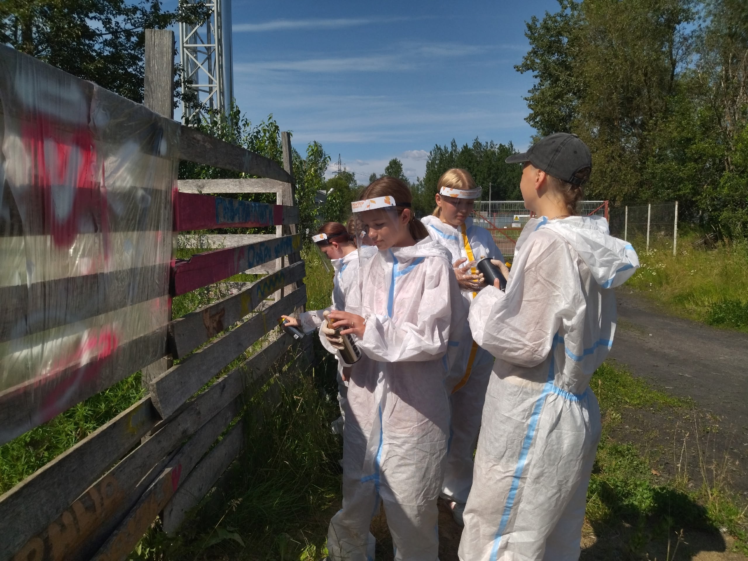 В Карелии волонтеры превратили приют в площадку для стрит-арта