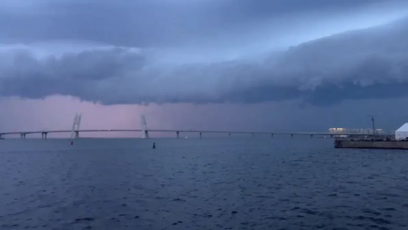 Рядом с Карелией бушует шторм: упали деревья, отключили свет и грядет наводнение