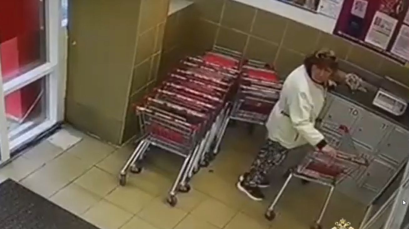 Полиция Петрозаводска разыскивает причастную к краже женщину